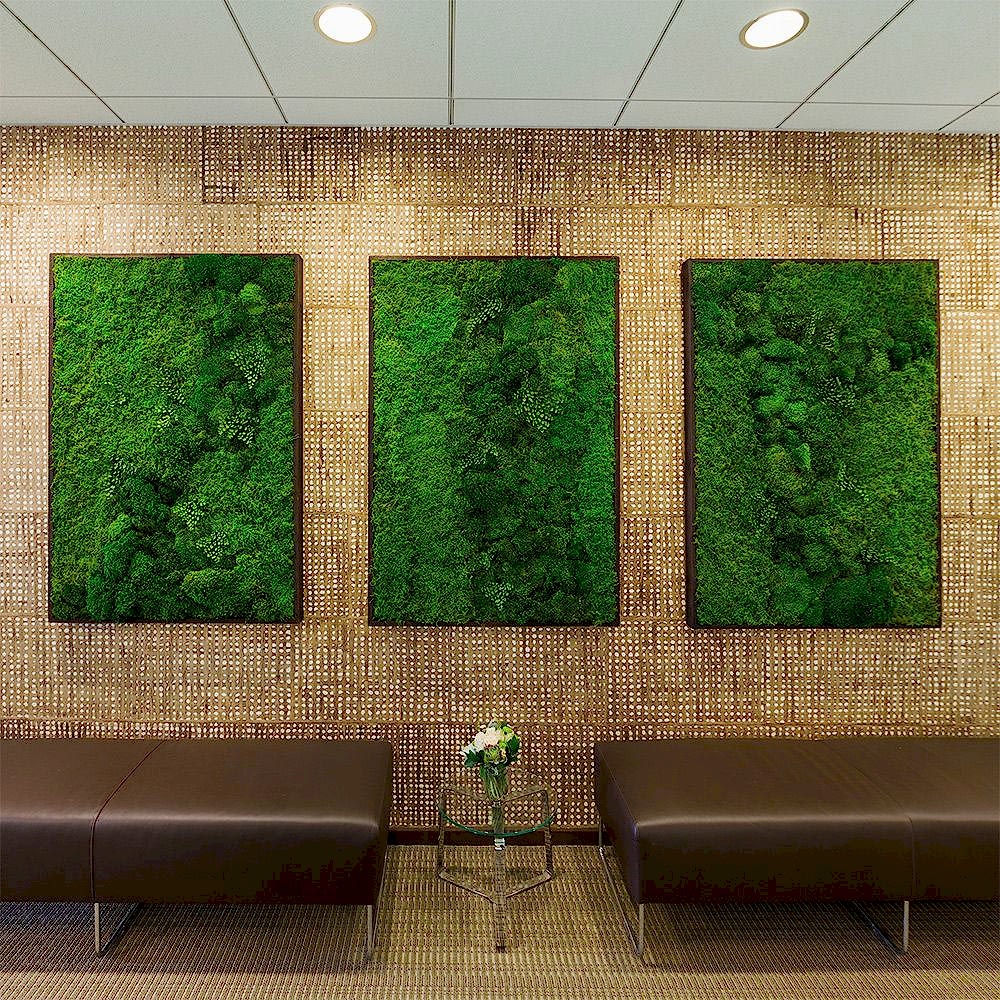 mosswall-mybotanic